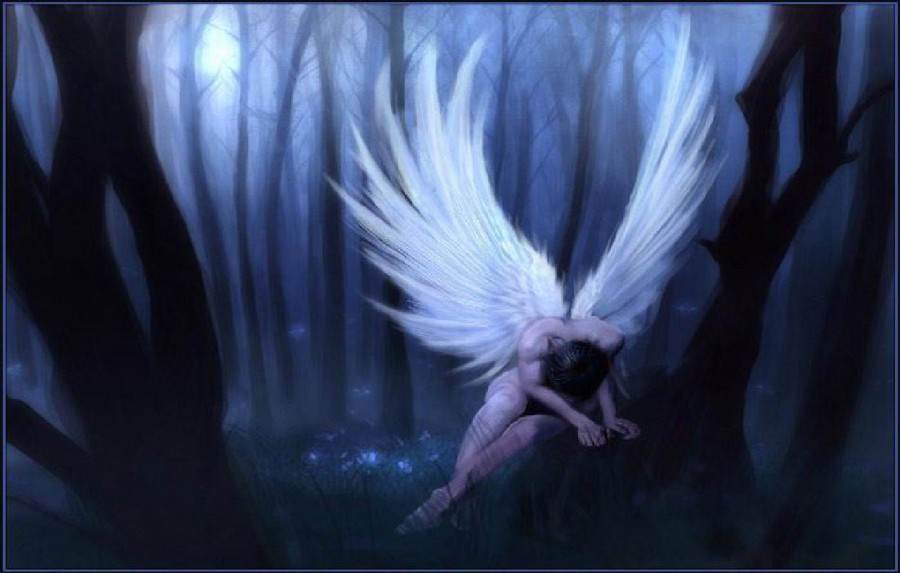 angels-dark-thick-forest-31000