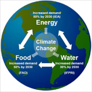 Microsoft Word - Perfect Storm Scenario and Nexus Thinking